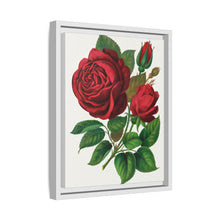 Red Rose, Prince Camille De Rohan Lithograph