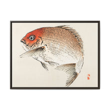 Tai (Red Seabream) fish by Kōno Bairei - NOMADEN ART GALLERY