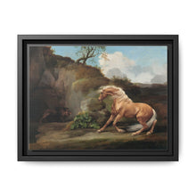 Horse Frightened by a Lion (1762–1768) by George Stubbs - NOMADEN ART GALLERY