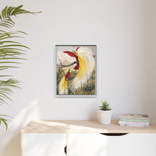 Birds of Paradise: Vintage Natural History Art by Benjamin Fawcett (1808 - 1893)