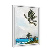 Palm Tree, Nassau (1898) by Winslow Homer