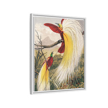 Birds of Paradise: Vintage Natural History Art by Benjamin Fawcett (1808 - 1893)