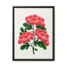Paul's New Double Flowering Thorn lithograph. Digitally enhanced from our own original 1900 edition plates of Botanical Specimen published by Rochester Lithographing - NOMADEN ART GALLERY