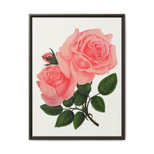 Pink Rose, La France Lithograph (1900) - NOMADEN ART GALLERY