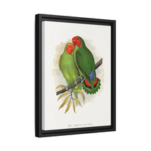 Lydon's West African Love-Bird | Vintage Avian Wall Art Print