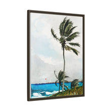 Palm Tree, Nassau (1898) by Winslow Homer