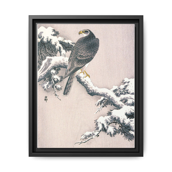 Goshawk on Snow-covered Pine Bough by Ohara Koson (1877–1945)