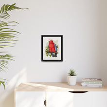 Rose-Breasted Cockatoo (Eolophus roseicapillus) colored wood-engraved plate by Alexander Francis Lydon. - NOMADEN ART GALLERY