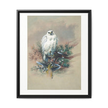 The Greenland Falcon from Zoological sketches (1861-1867) by Joseph Wolf and Philip Lutley Sclater - NOMADEN ART GALLERY