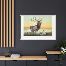 The Wapiti from Zoological sketches (1861-1867) by Joseph Wolf and Philip Lutley Sclater