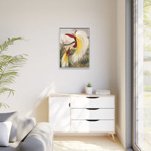 Birds of Paradise: Vintage Natural History Art by Benjamin Fawcett (1808 - 1893)