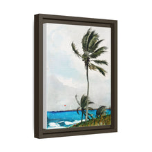 Palm Tree, Nassau (1898) by Winslow Homer