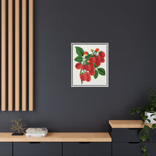 Shaffer's Colossal Raspberry Lithograph (1900)