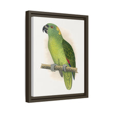 Lydon's Yellow-Naped Amazon | Vintage Parrot Wall Art Print