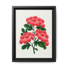 Paul's New Double Flowering Thorn lithograph. Digitally enhanced from our own original 1900 edition plates of Botanical Specimen published by Rochester Lithographing - NOMADEN ART GALLERY