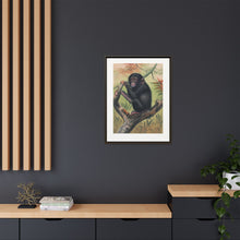 The Chimpanzee from Zoological sketches (1861-1867) by Joseph Wolf and Philip Lutley Sclater.
