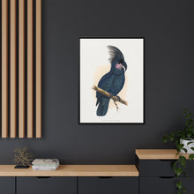 Great Black Cockatoo (Probosciger aterrimus) colored wood-engraved plate by Alexander Francis Lydon