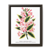 Pink flowers, Weigela lithograph (1900) - NOMADEN ART GALLERY