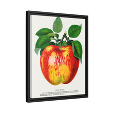 Wolf River Apple Lithograph | Vintage Botanical Wall Art Print