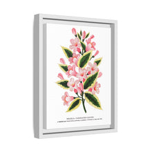 Pink flowers, Weigela lithograph (1900)