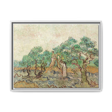 The Olive Orchard (1889) by Vincent van Gogh - Antique Framed Art Print - NOMADEN ART GALLERY
