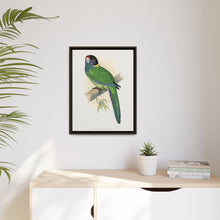 Lydon's Yellow-Naped Parrakeet | Vintage Bird Wall Art Print