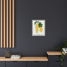 White Grape Lithograph | Vintage Botanical Wall Art Print