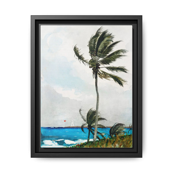 Palm Tree, Nassau (1898) by Winslow Homer - NOMADEN ART GALLERY