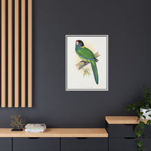 Lydon's Yellow-Naped Parrakeet | Vintage Bird Wall Art Print