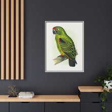 Placa grabada en madera de color loro de Jardine (Poicephalus gulielmi gulielmi) de Alexander Francis Lydon. 
