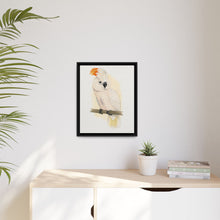 Great Salmon-Crested Cockatoo (CACATUA MOLUCCENSIS) colored wood-engraved plate by Alexander Francis Lydon.