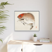 Tai (Red Seabream) fish by Kōno Bairei