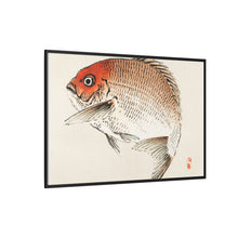 Tai (Red Seabream) fish by Kōno Bairei