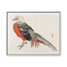 Japanese pheasant by Kōno Bairei (1844-1895) - NOMADEN ART GALLERY