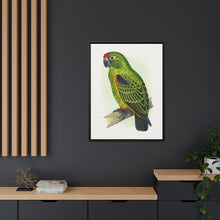 Placa grabada en madera de color loro de Jardine (Poicephalus gulielmi gulielmi) de Alexander Francis Lydon. 