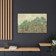 Vincent van Gogh's The Olive Orchard (1889) - NOMADEN ART GALLERY