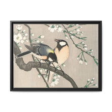 Tits on Cherry Branch (1900–1910) by Ohara Koson