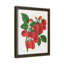Shaffer's Colossal Raspberry Lithograph (1900)