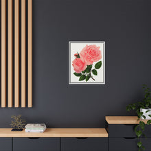 Pink Rose, La France Lithograph (1900)