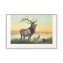 The Wapiti from Zoological sketches (1861-1867) by Joseph Wolf and Philip Lutley Sclater - NOMADEN ART GALLERY