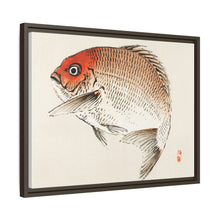 Tai (Red Seabream) fish by Kōno Bairei