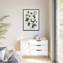 Japanese snowball flower lithograph. Digitally enhanced from our own original 1900 edition plates of Botanical Specimen published by Rochester Lithographing