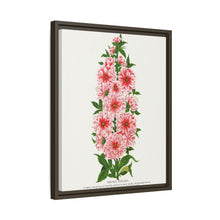 Prunus Triloba flower lithograph. Digitally enhanced from our own original 1900 edition plates of Botanical Specimen published by Rochester Lithographing