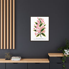 Pink flowers, Weigela lithograph (1900)