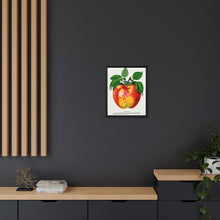 Wolf River Apple Lithograph | Vintage Botanical Wall Art Print