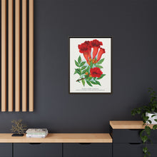 Trumpet flower lithograph. Digitally enhanced from our own original 1900 edition plates of Botanical Specimen published by Rochester Lithographing