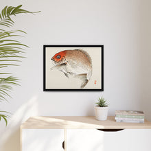 Tai (Red Seabream) fish by Kōno Bairei