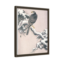 Goshawk on Snow-covered Pine Bough by Ohara Koson (1877–1945)