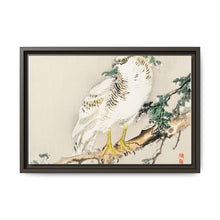 Northern mockingbird by Kōno Bairei (1844-1895) - NOMADEN ART GALLERY