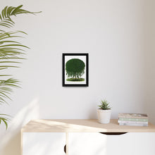 Kilmarnock Weeping Willow tree lithograph. Digitally enhanced from our own original 1900 edition plates of Botanical Specimen published by Rochester Lithographing - NOMADEN ART GALLERY